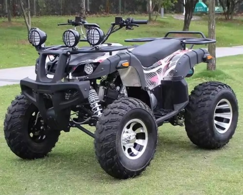 새로운 4x4 D 2x4 250cc ATV 가스 연료 4 륜 쿼드 바이크 성인용 자동 변속기 4 행정 엔진 4WD 운전
